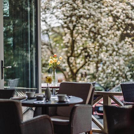 Ambleside Manor - Vegetarian B&B エクステリア 写真