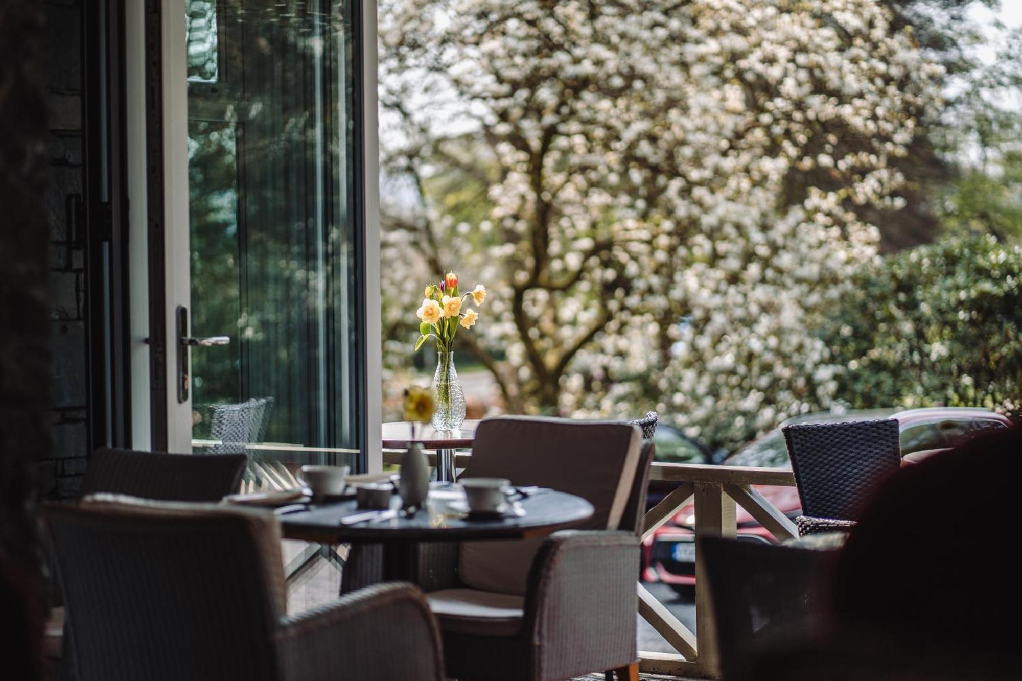 Ambleside Manor - Vegetarian B&B エクステリア 写真